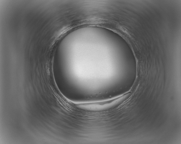 X0000053021451200507221327