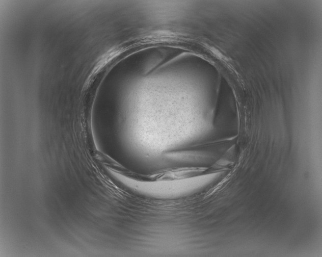 X0000053021453200507221327