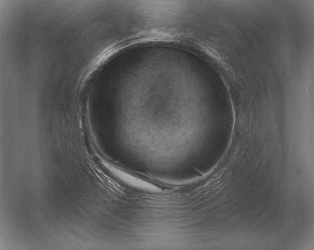X0000053021455200507221327