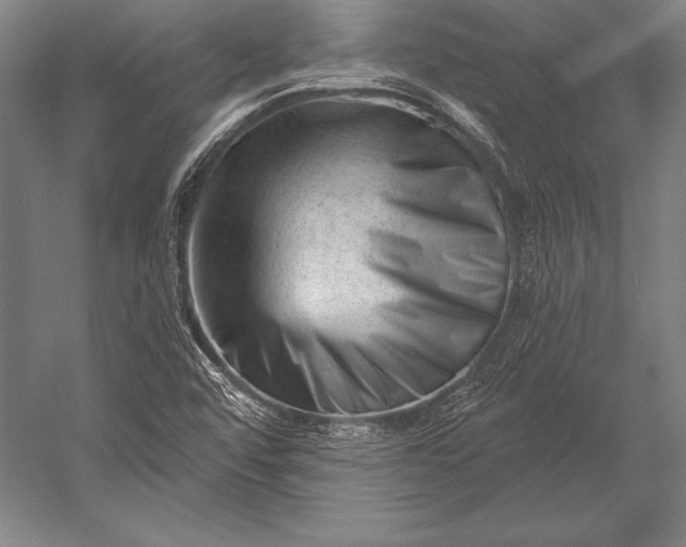 X0000053021456200507221327