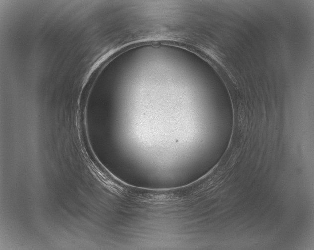 X0000053021460200507221327