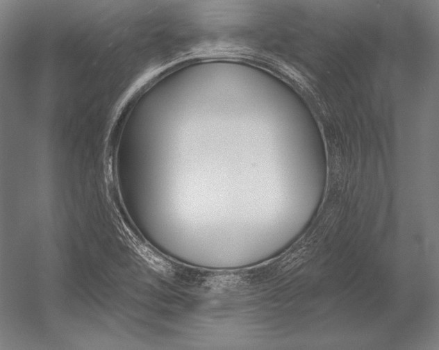 X0000053021462200507221327