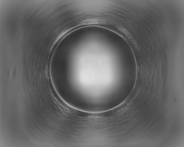 X0000053021465200507221327