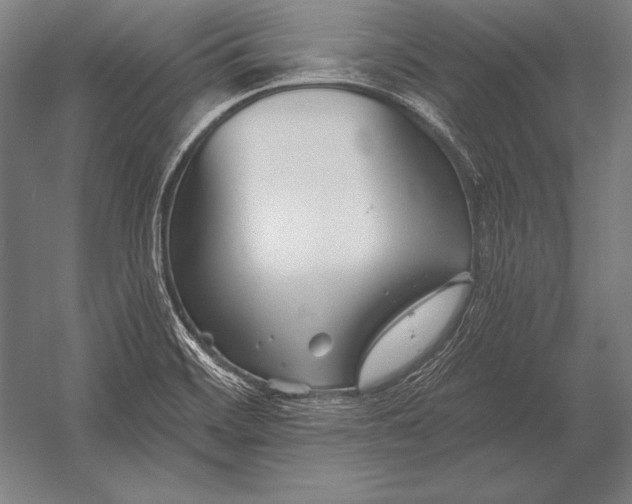 X0000053021468200507221327