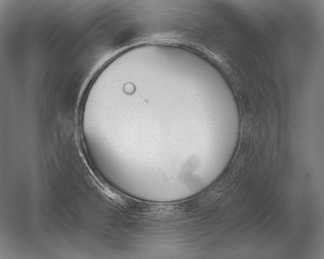 X0000053021470200507221327