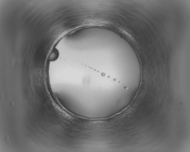X0000053021471200507221327