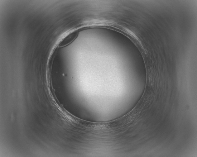 X0000053021472200507221327
