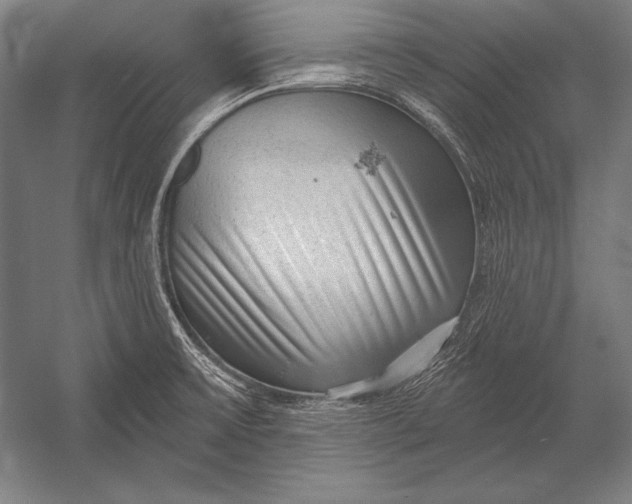 X0000053021475200507221326