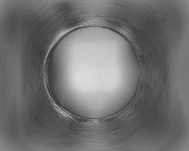 X0000053021478200507221326