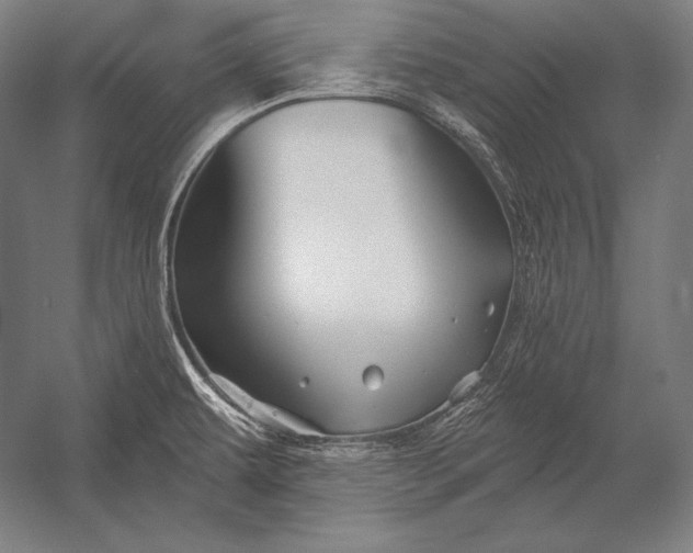 X0000053021479200507221326