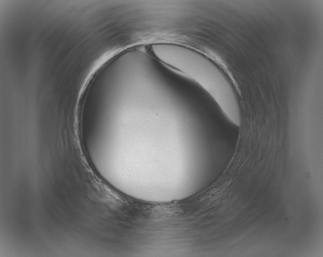 X0000053021480200507221326