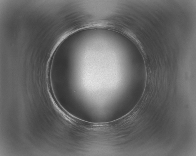 X0000053021483200507221326