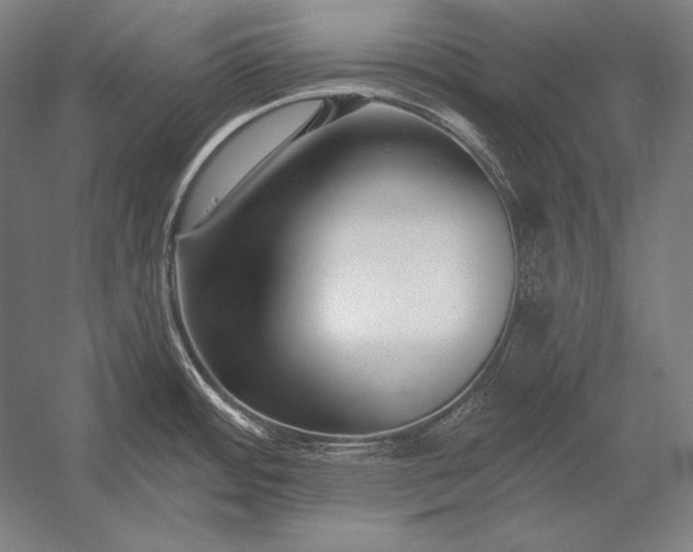 X0000053021484200507221326