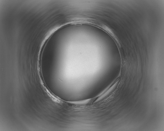 X0000053021485200507221326