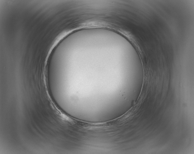 X0000053021486200507221326