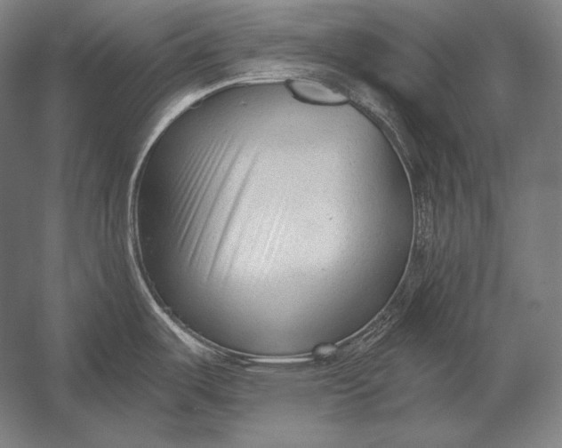 X0000053021487200507221326