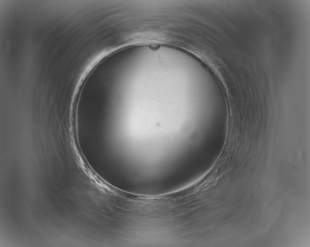 X0000053021488200507221326