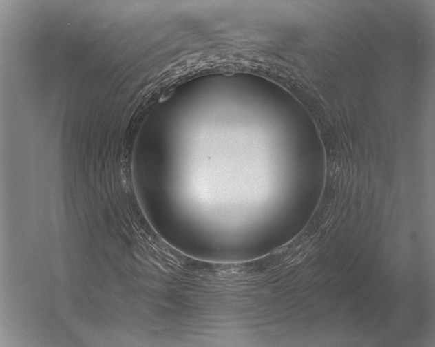 X0000053021490200507221325
