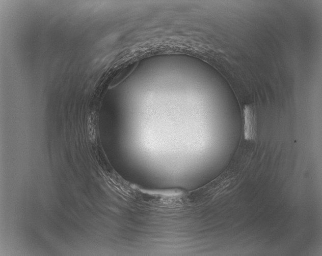 X0000053021491200507221325