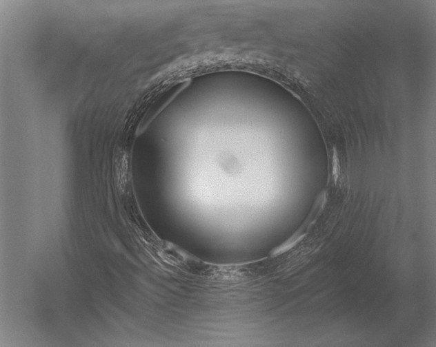 X0000053021492200507221325