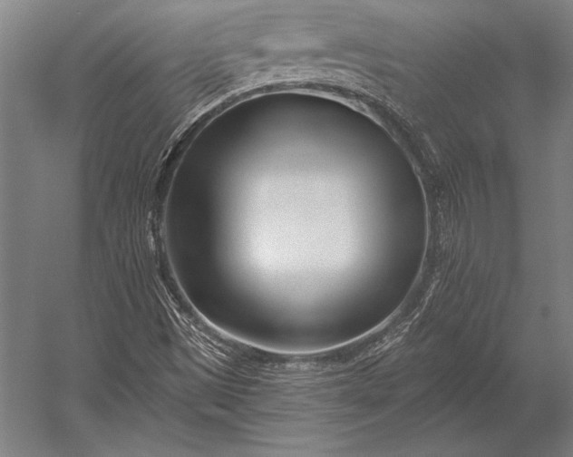 X0000053021497200507221326