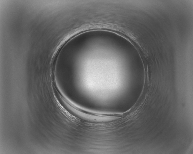 X0000053021500200507221326