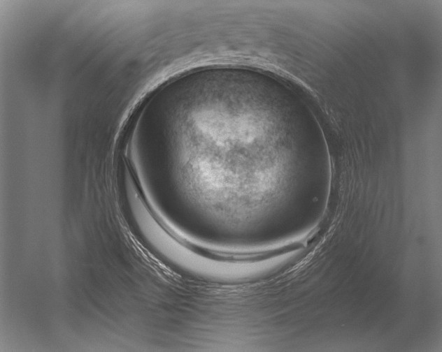 X0000053021506200507221326