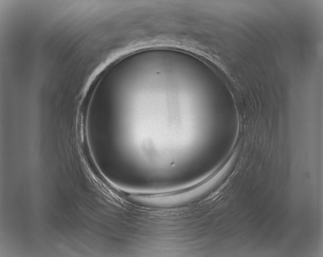 X0000053021510200507221326