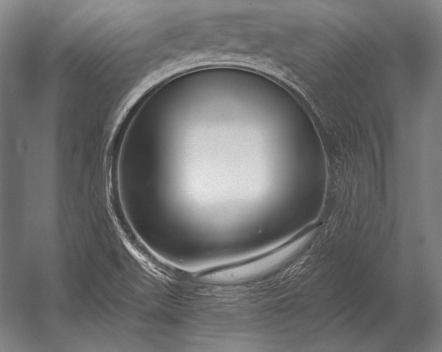 X0000053021511200507221326