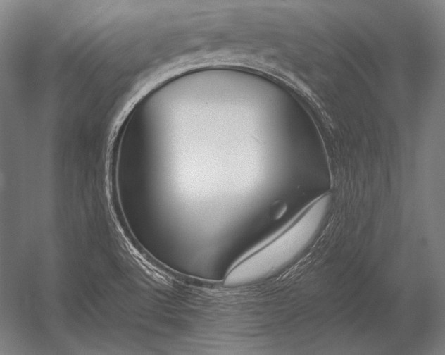 X0000053021512200507221326