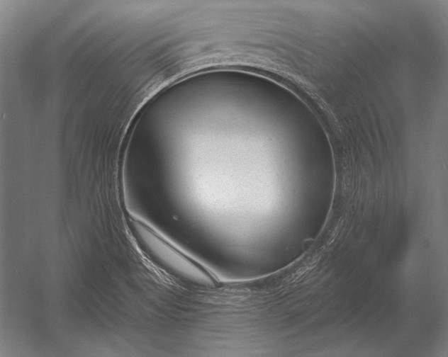 X0000053021513200507221326