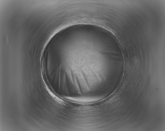 X0000053021515200507221326