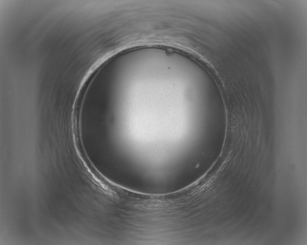 X0000053021517200507221326