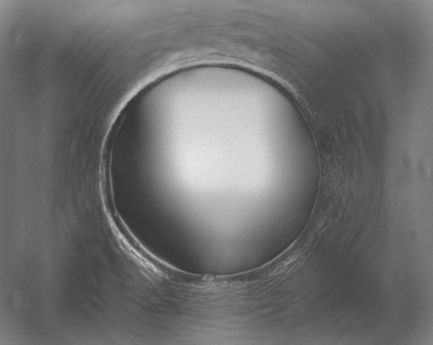 X0000053021518200507221326