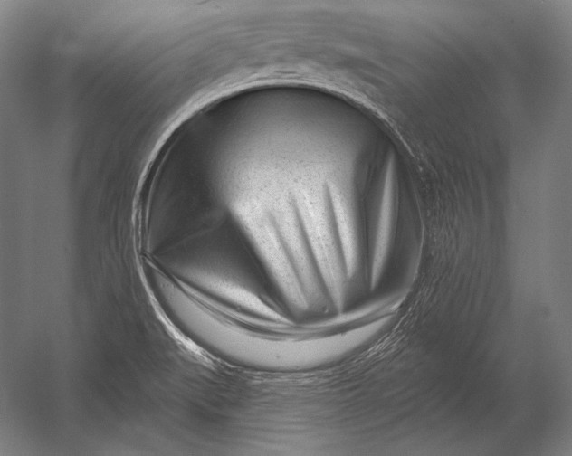 X0000053021519200507221326