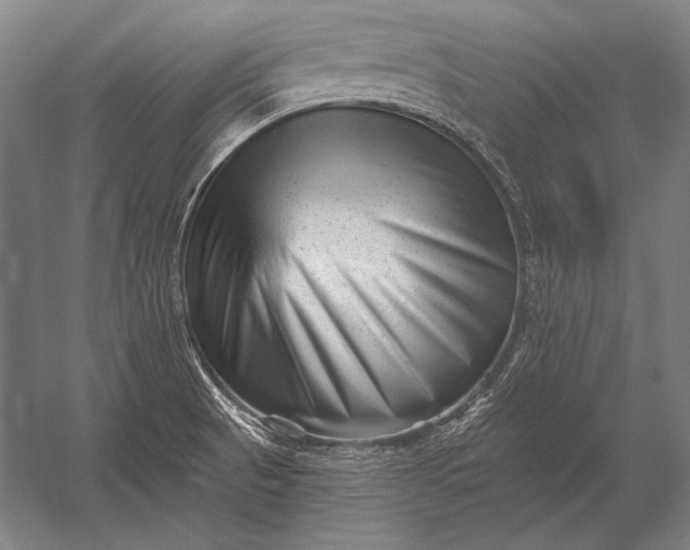 X0000053021521200507221326