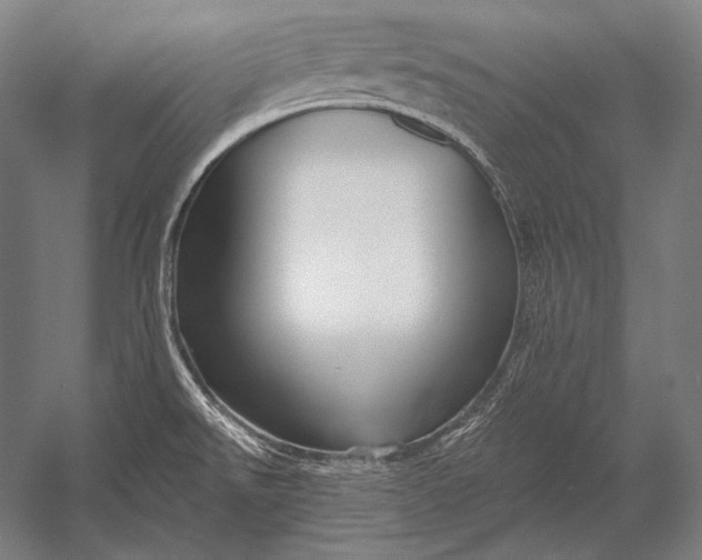X0000053021526200507221326