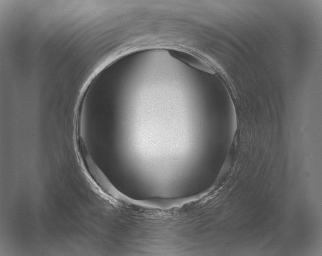 X0000053021528200507221326