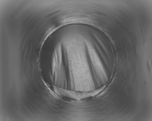 X0000053021529200507221326