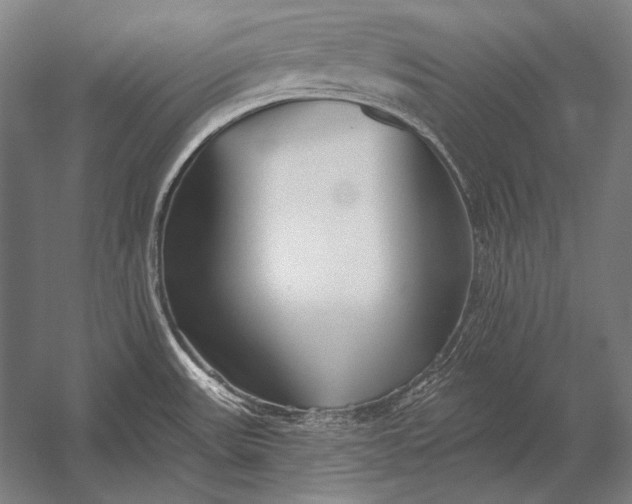 X0000053021531200507221326