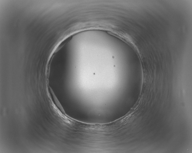 X0000053021532200507221326