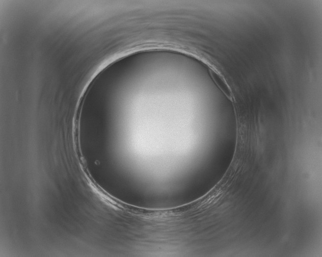 X0000053021535200507221326