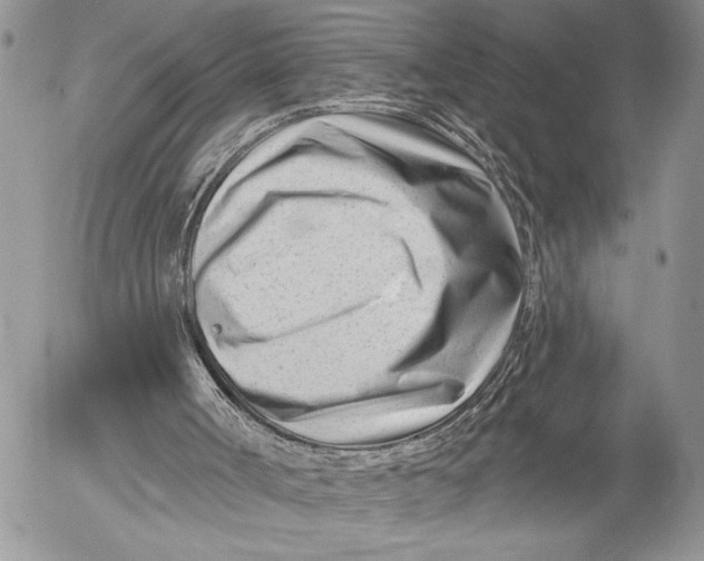 X0000053020002200507291745