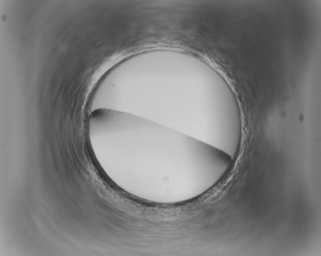 X0000053020008200507291745