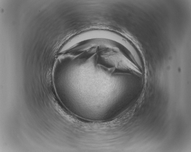 X0000053020009200507291745