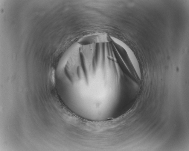 X0000053020041200507291744
