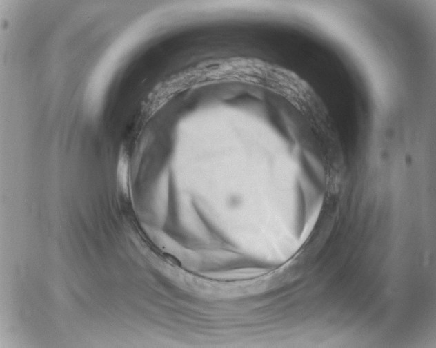 X0000053020047200507291744
