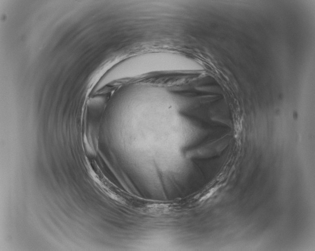 X0000053020052200507291744