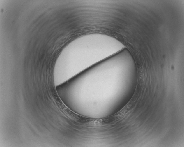 X0000053020080200507291744