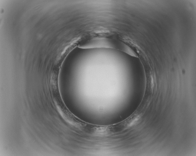 X0000053020088200507291744